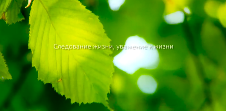 利来最给利的老牌集团形象片（русский）