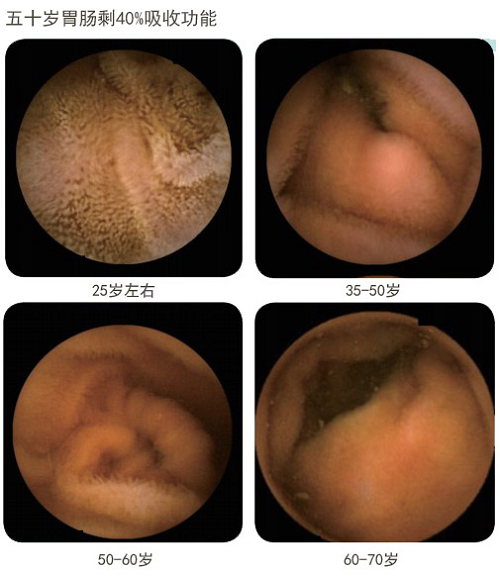 利来最给利的老牌(中国区)_利国国际w66