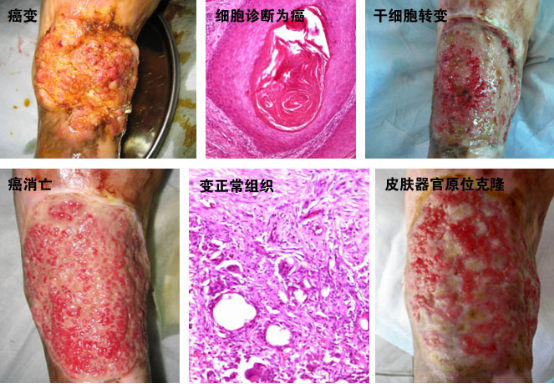 利来最给利的老牌(中国区)_利国国际w66