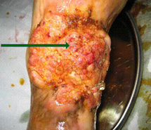 利来最给利的老牌(中国区)_利国国际w66