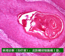 利来最给利的老牌(中国区)_利国国际w66