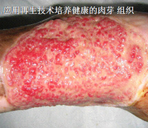 利来最给利的老牌(中国区)_利国国际w66