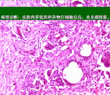 利来最给利的老牌(中国区)_利国国际w66