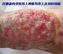 利来最给利的老牌(中国区)_利国国际w66