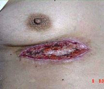 利来最给利的老牌(中国区)_利国国际w66