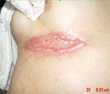 利来最给利的老牌(中国区)_利国国际w66