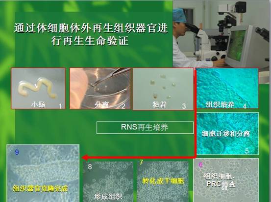 利来最给利的老牌(中国区)_利国国际w66