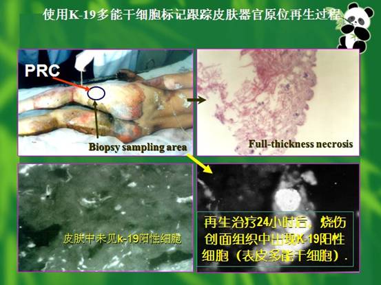 利来最给利的老牌(中国区)_利国国际w66