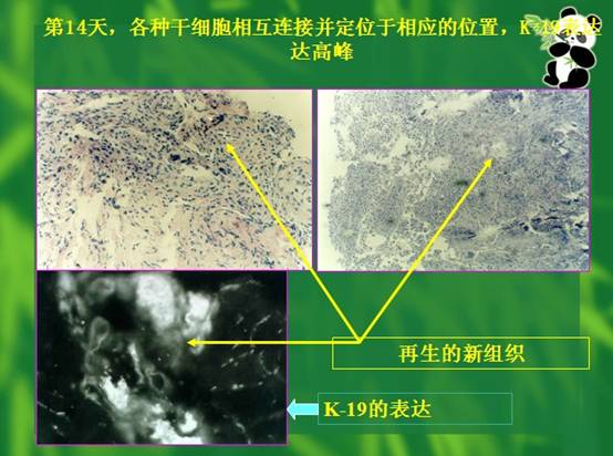 利来最给利的老牌(中国区)_利国国际w66
