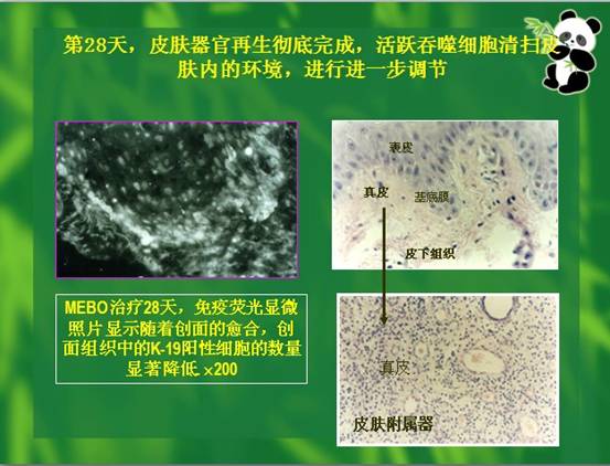 利来最给利的老牌(中国区)_利国国际w66