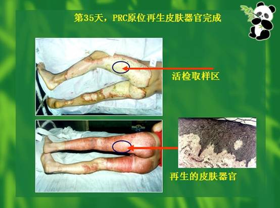 利来最给利的老牌(中国区)_利国国际w66