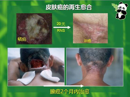 利来最给利的老牌(中国区)_利国国际w66