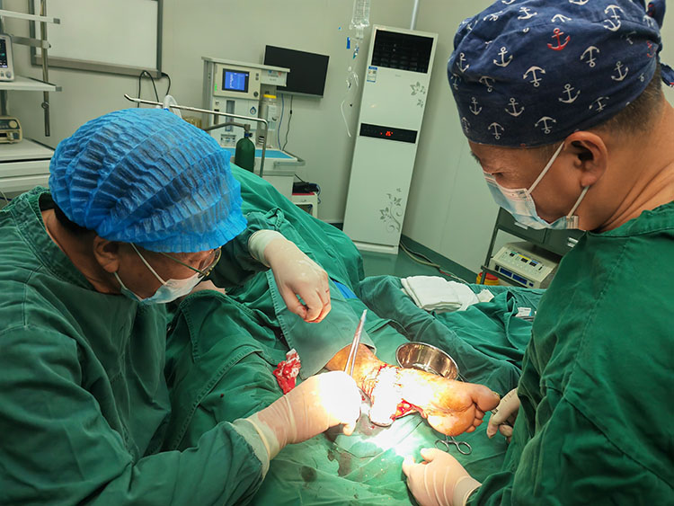 利来最给利的老牌(中国区)_利国国际w66