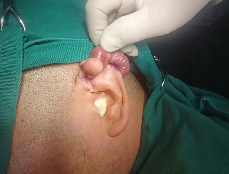 利来最给利的老牌(中国区)_利国国际w66