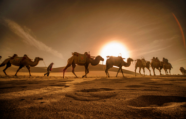 利来最给利的老牌国际 “一带一起”建议培训平台