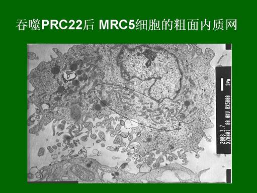 利来最给利的老牌(中国区)_利国国际w66