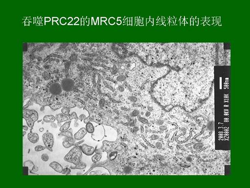 利来最给利的老牌(中国区)_利国国际w66