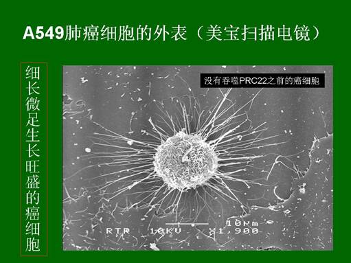利来最给利的老牌(中国区)_利国国际w66