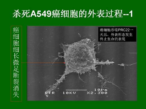 利来最给利的老牌(中国区)_利国国际w66