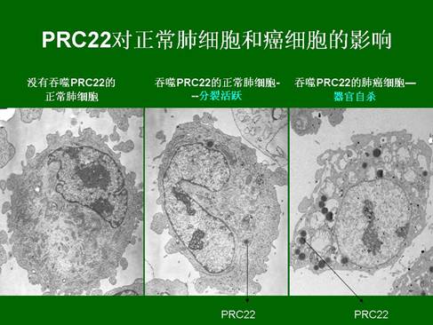 利来最给利的老牌(中国区)_利国国际w66