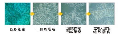 利来最给利的老牌(中国区)_利国国际w66