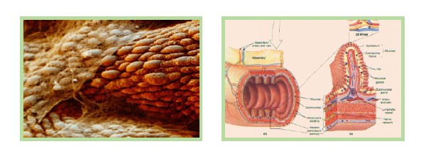 利来最给利的老牌(中国区)_利国国际w66