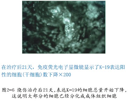 利来最给利的老牌(中国区)_利国国际w66