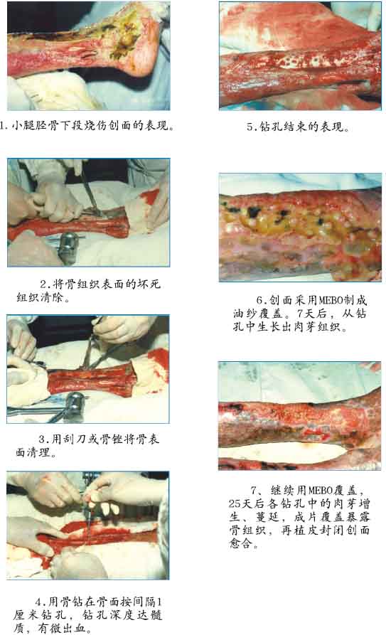 利来最给利的老牌(中国区)_利国国际w66