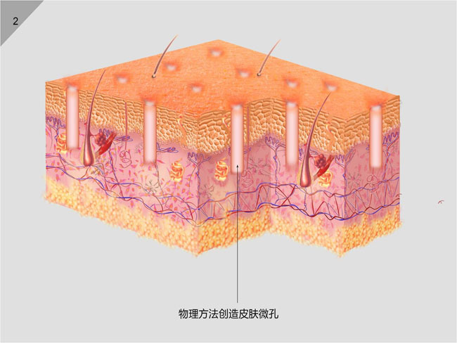 利来最给利的老牌(中国区)_利国国际w66