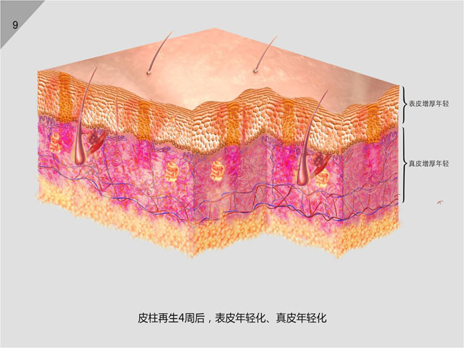 利来最给利的老牌(中国区)_利国国际w66